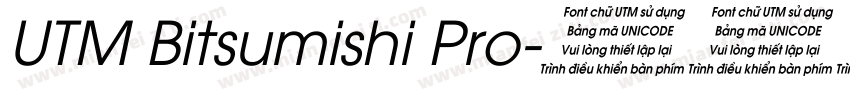 UTM Bitsumishi Pro字体转换